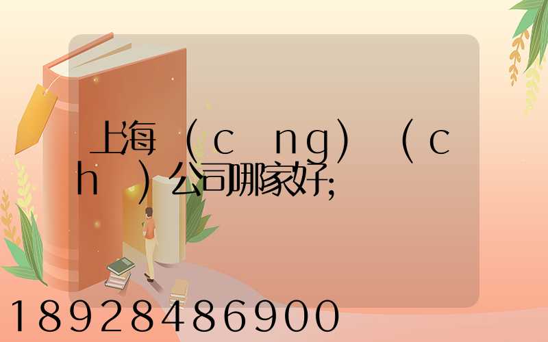 上海倉(cāng)儲(chǔ)公司哪家好