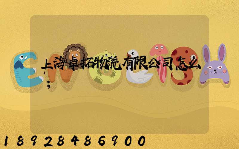 上海卓拓物流有限公司怎么樣