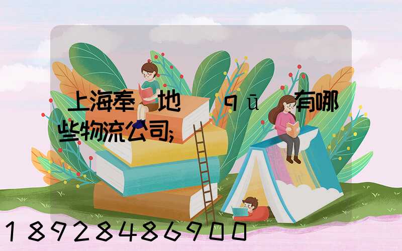 上海奉賢地區(qū)有哪些物流公司