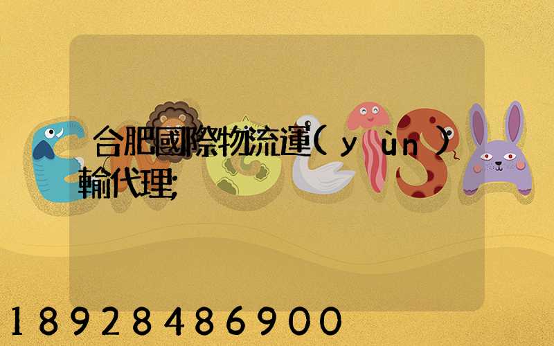 合肥國際物流運(yùn)輸代理
