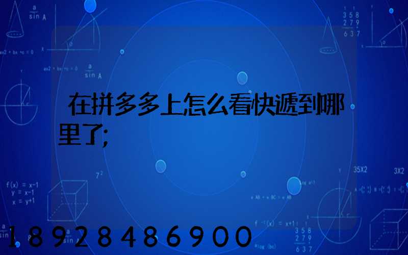 在拼多多上怎么看快遞到哪里了