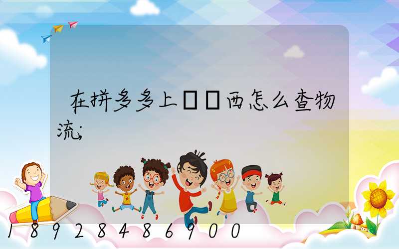 在拼多多上買東西怎么查物流