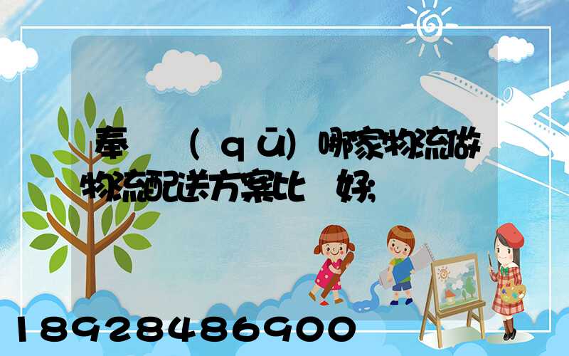 奉賢區(qū)哪家物流做物流配送方案比較好