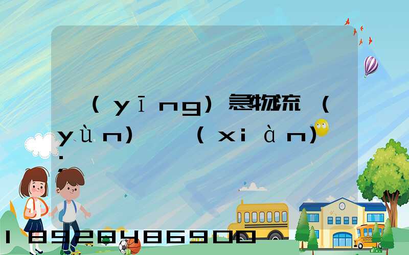 應(yīng)急物流運(yùn)輸現(xiàn)狀