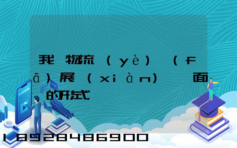 我國物流業(yè)發(fā)展現(xiàn)狀與面臨的形式