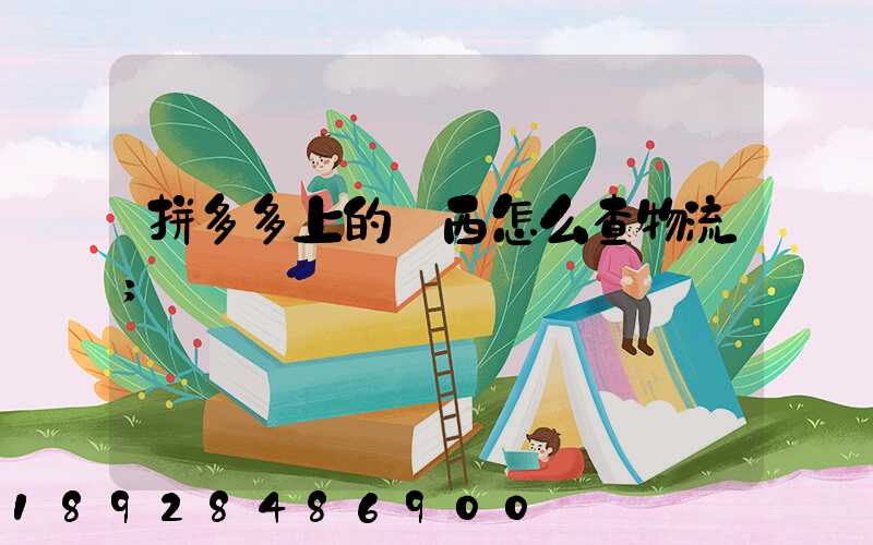 拼多多上的東西怎么查物流