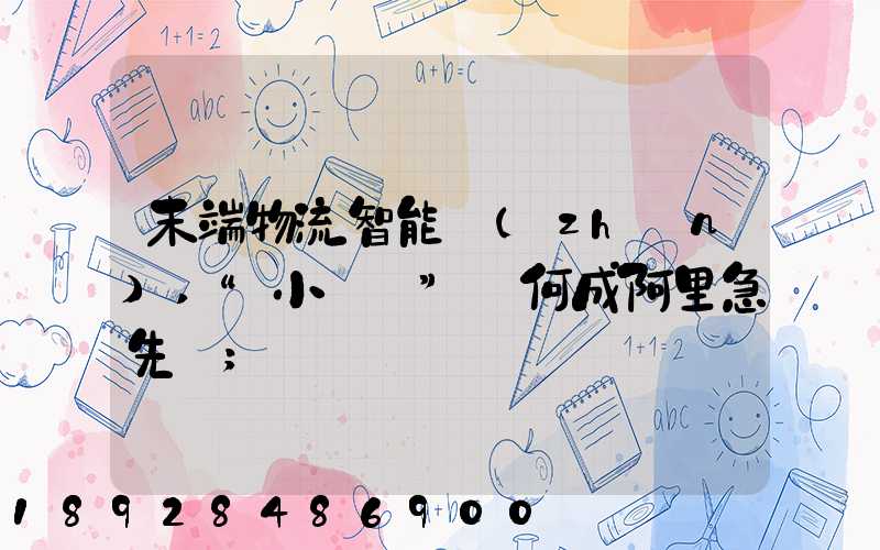 末端物流智能戰(zhàn),“小蠻驢”憑何成阿里急先鋒