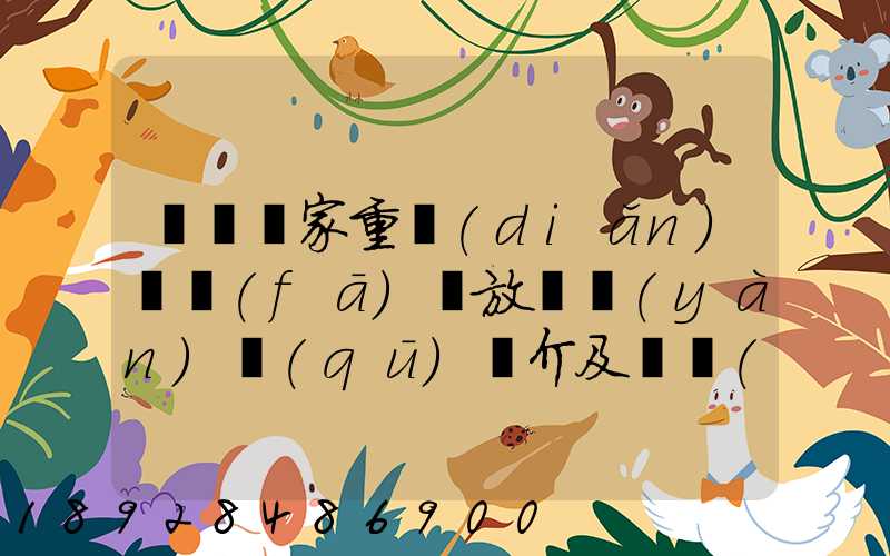 東興國家重點(diǎn)開發(fā)開放試驗(yàn)區(qū)簡介及詳細(xì)資料