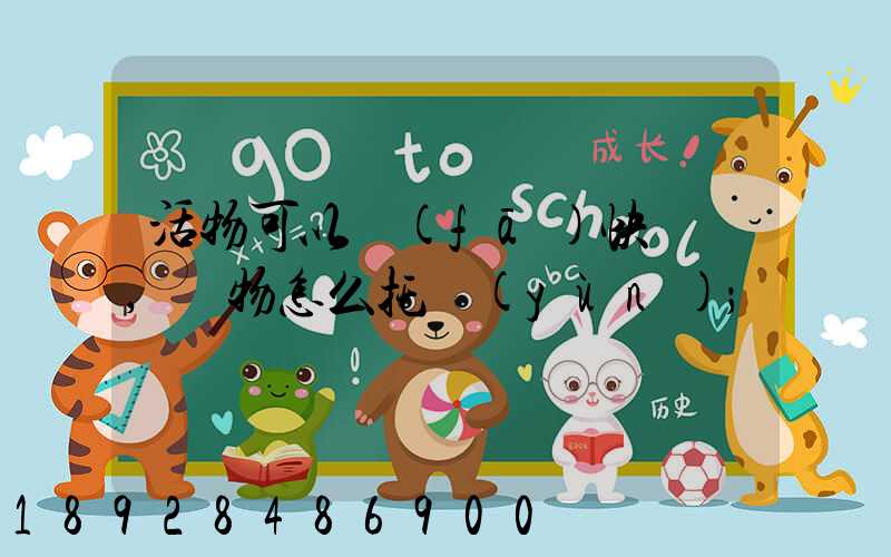 活物可以發(fā)快遞嗎,寵物怎么托運(yùn)
