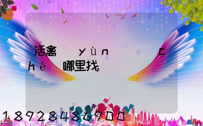 活禽運(yùn)輸車(chē)哪里找