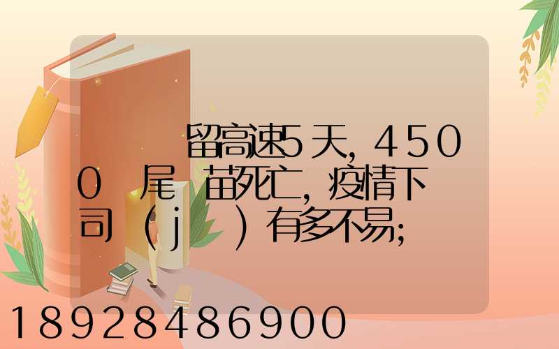貨車滯留高速5天,4500萬尾魚苗死亡,疫情下貨車司機(jī)有多不易