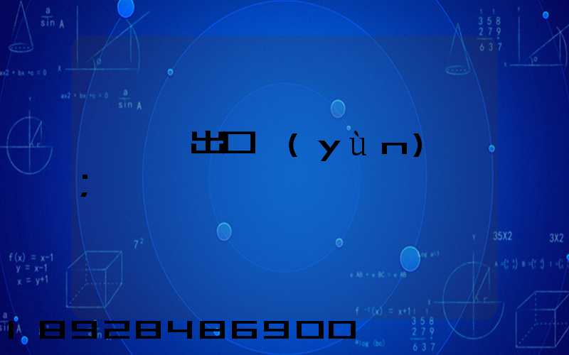 電動車出口運(yùn)輸
