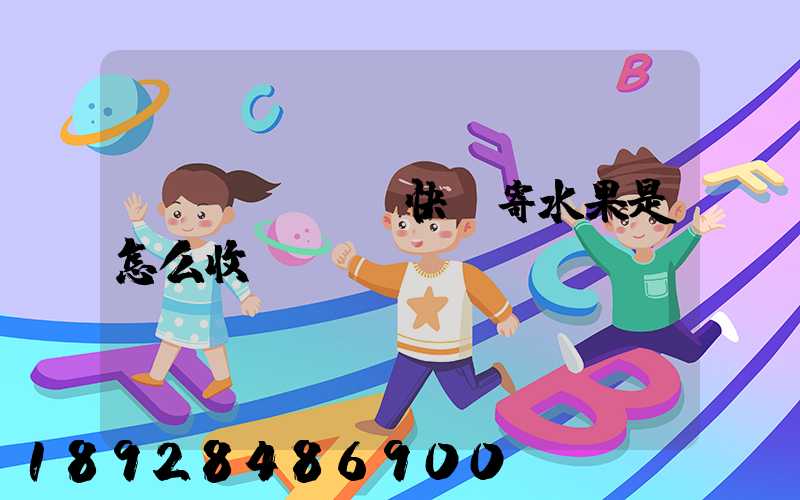 韻達(dá)快遞寄水果是怎么收費(fèi)